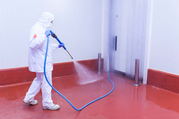 Best Restaurant Pressure Washing  in Holtville, CA