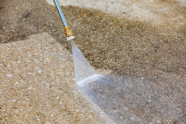 Best Animal Enclosure Cleaning  in Holtville, CA